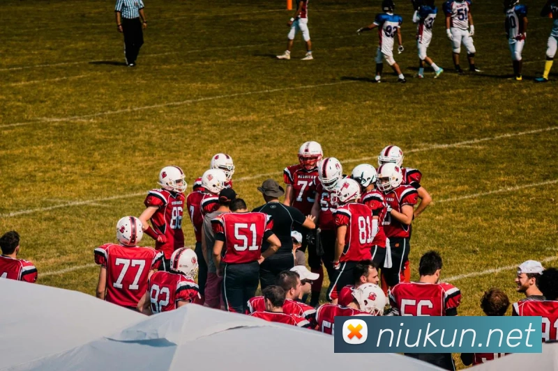 星空官方网站平台生态图